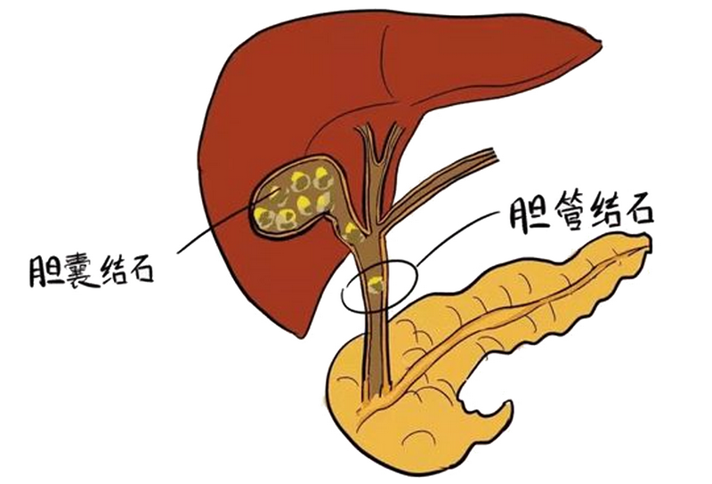 亚星手机版官方登录
