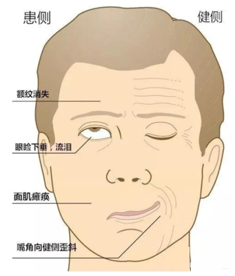 亚星手机版官方登录