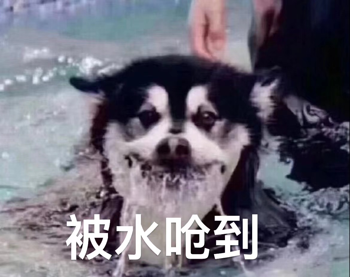 1670568856305688.jpg 1670568856305688.jpg